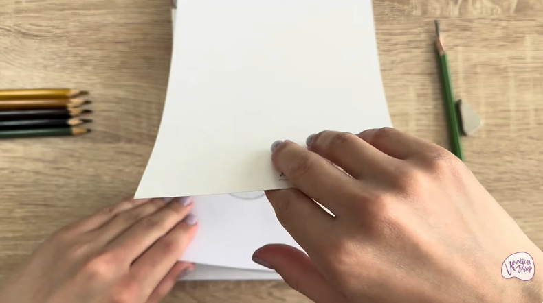 Рисуем Голотурия