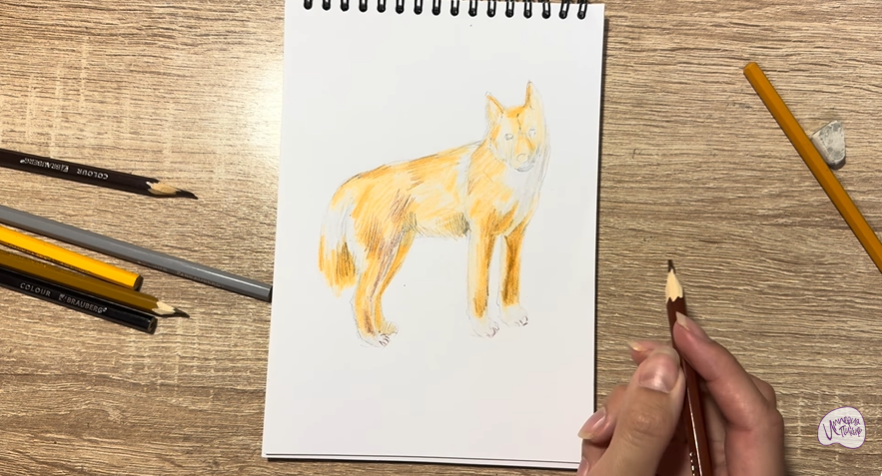 Рисуем Динго