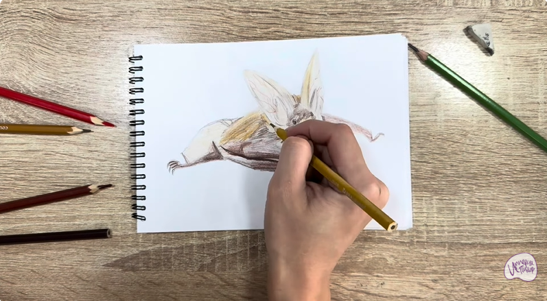 Рисуем Бурый ушан