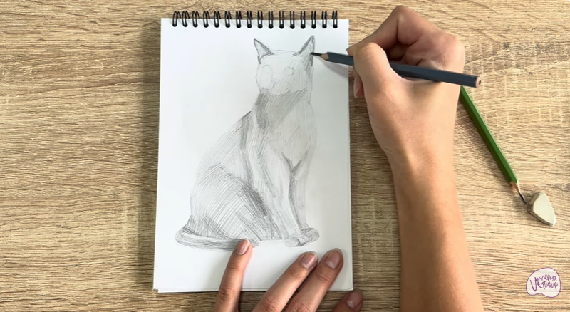 Рисуем Бурманский кот