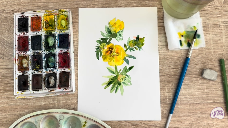 Рисуем Лапчатка