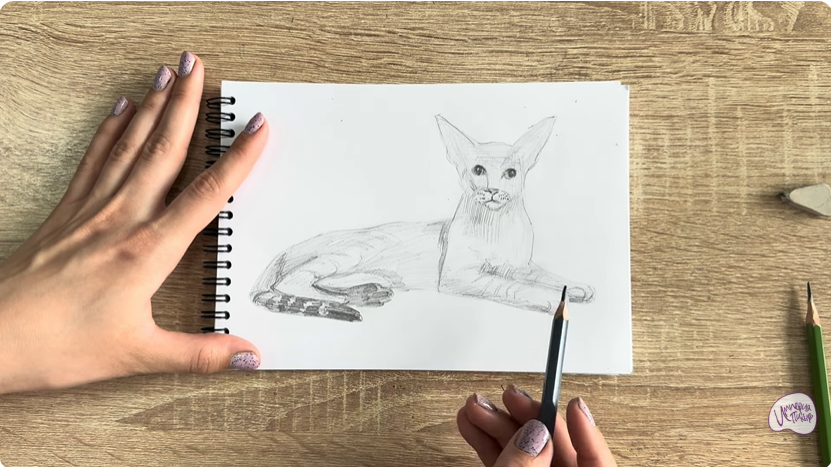 Рисуем Ориентальная кошка