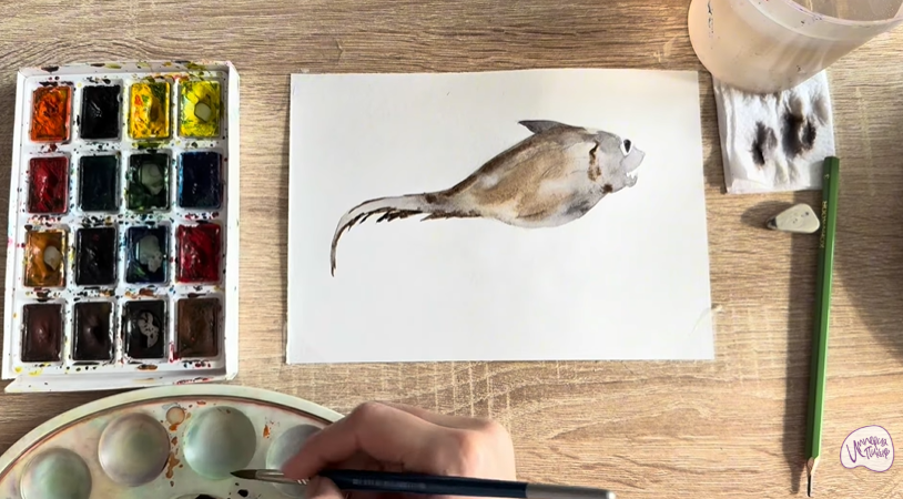 Рисуем Макрурус