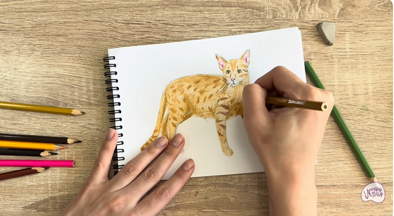 Рисуем Кот породы Оцикет