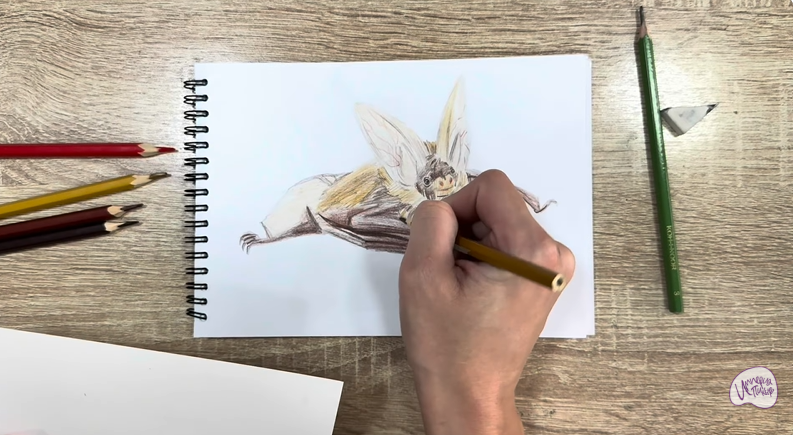 Рисуем Бурый ушан