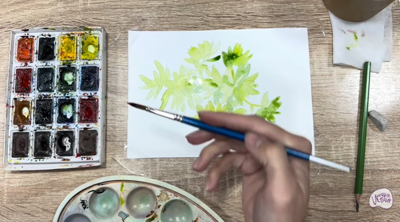 Рисуем Очиток