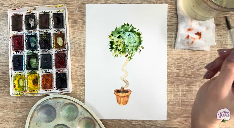 Рисуем Мирт обыкновенный