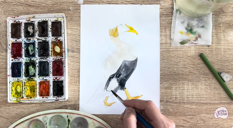 Рисуем Обыкновенная гага