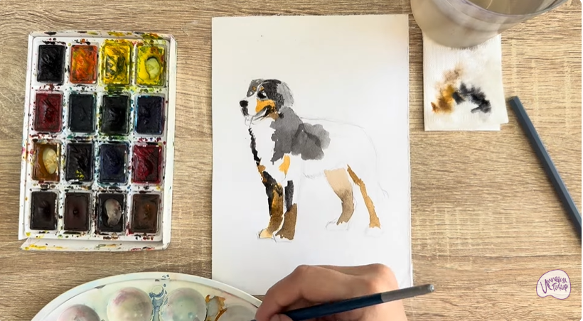 Рисуем Собака породы Бернский зенненхунд