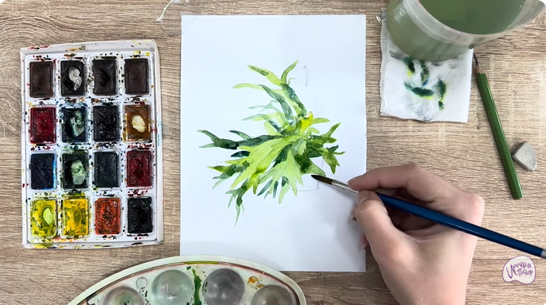 Рисуем Платицериум в горшке