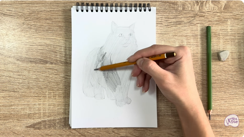 Рисуем Норвежский лесной кот