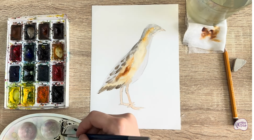 Рисуем Коростель