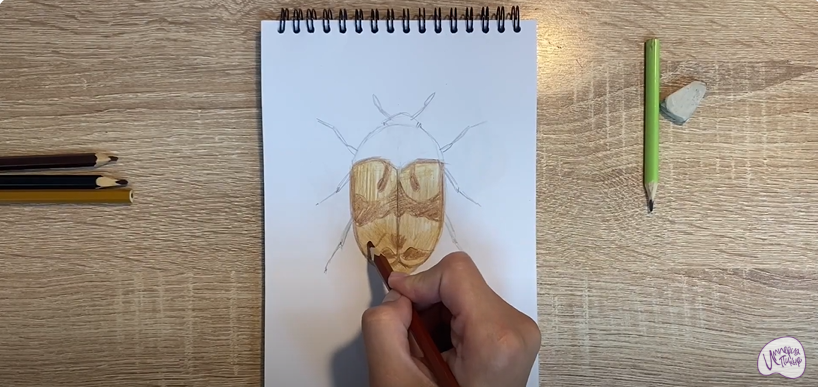 Рисуем Жук капровый