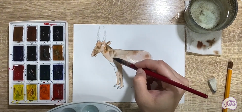 Рисуем Сайгак