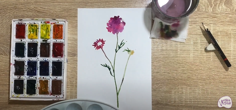 Рисуем Цветок "Скабиоза"