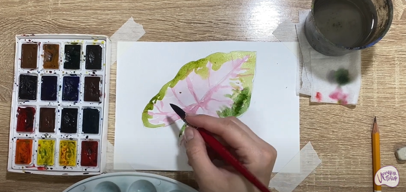 Рисуем Лист каладиума