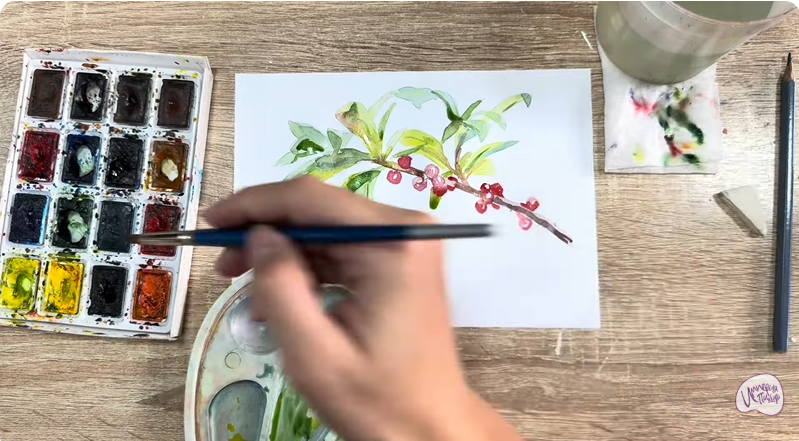 Рисуем Волчья ягода