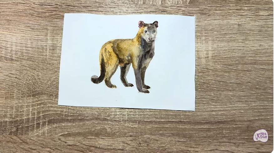 Рисуем Фосса