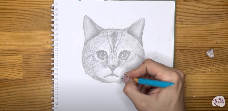 Рисуем Морда кота