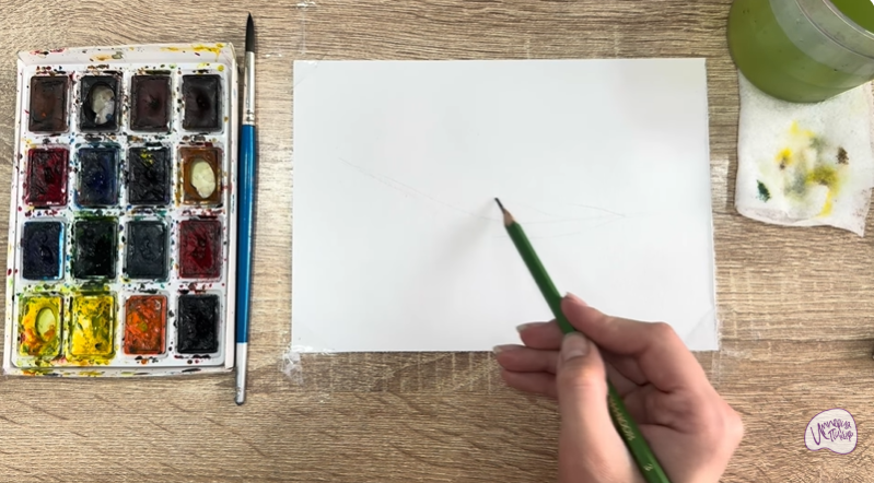 Рисуем Тимьян