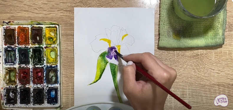 Рисуем Ирис