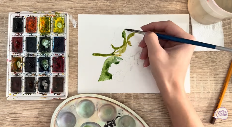 Рисуем Алтей лекарственный