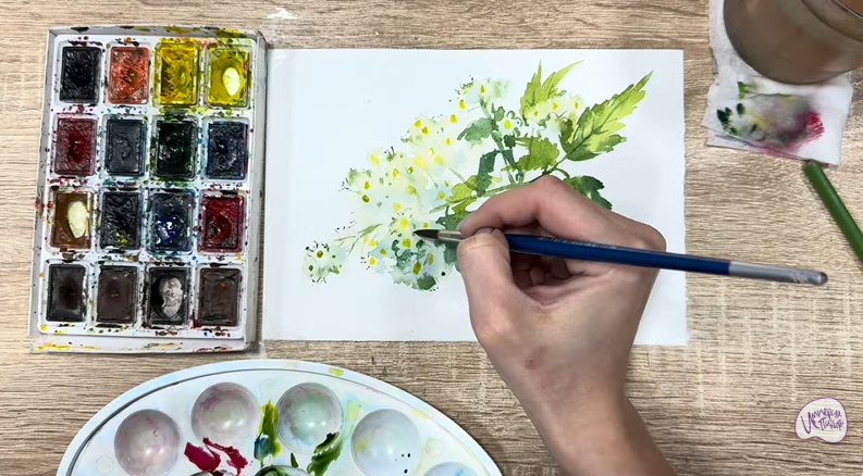 Рисуем Таволга