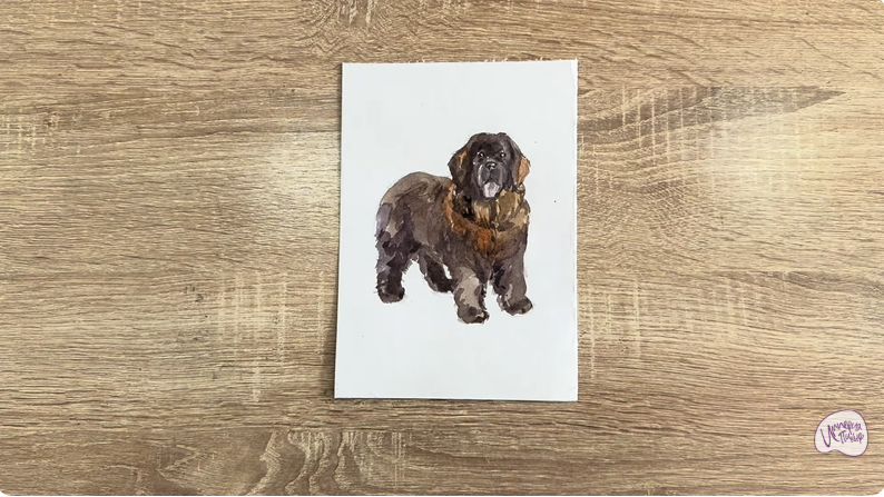 Рисуем Собака породы Ньюфаундленд