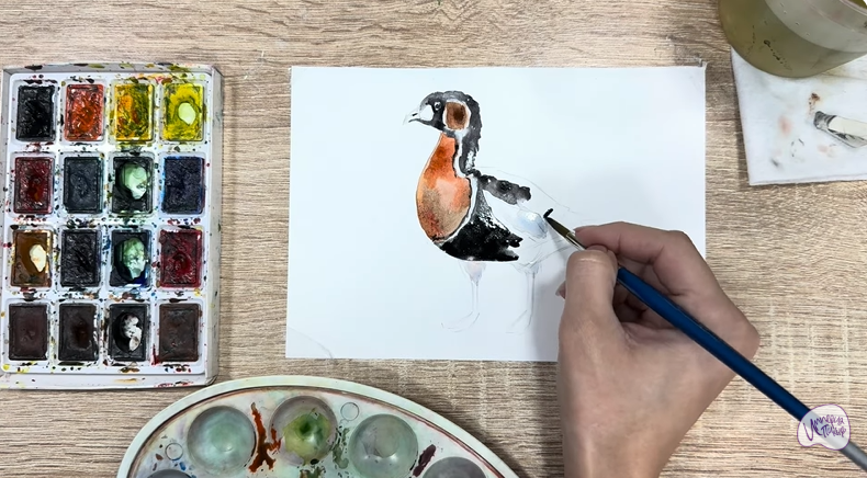 Рисуем Краснозобая казарка