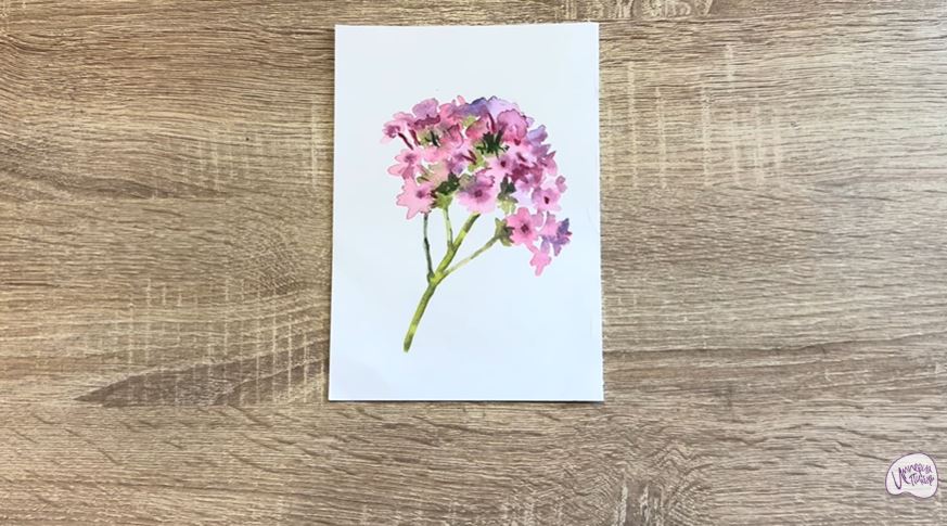 Рисуем Вербена