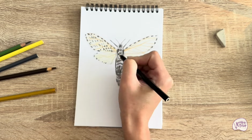 Рисуем Древесница въедливая