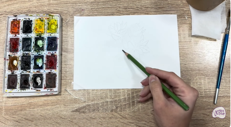 Рисуем Очиток