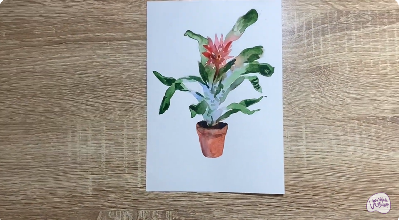 Рисуем Цветок "Эхмея"