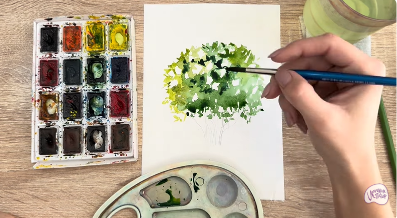 Рисуем Саженец бирючины