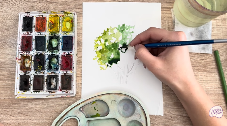 Рисуем Саженец бирючины