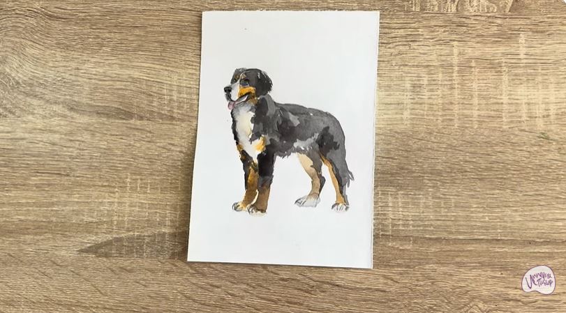 Рисуем Собака породы Бернский зенненхунд