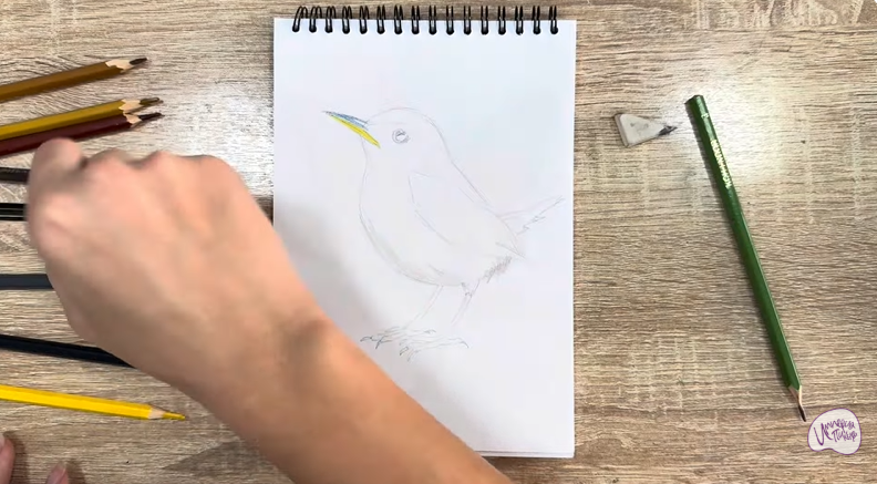 Рисуем Крапивник