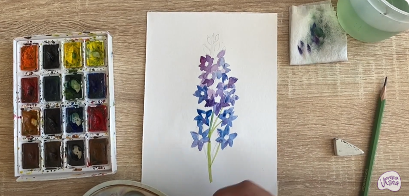 Рисуем Живокость