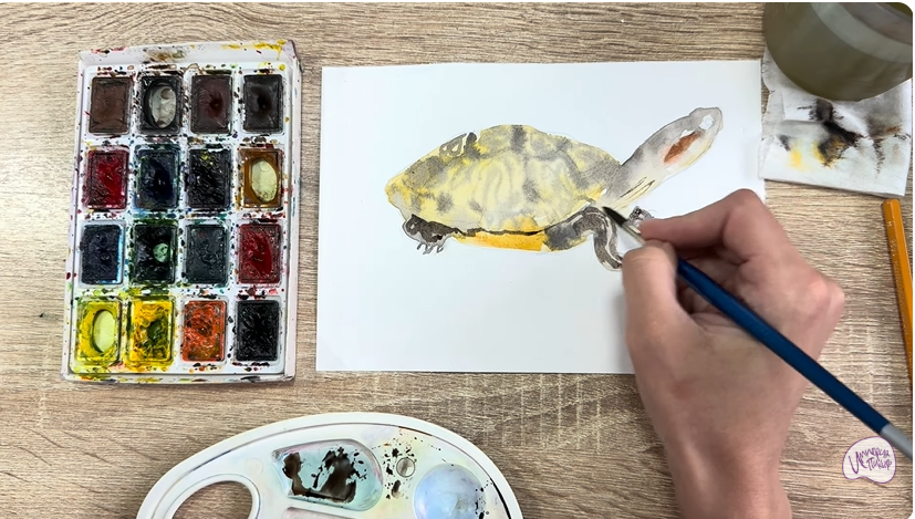 Рисуем Красноухая черепаха