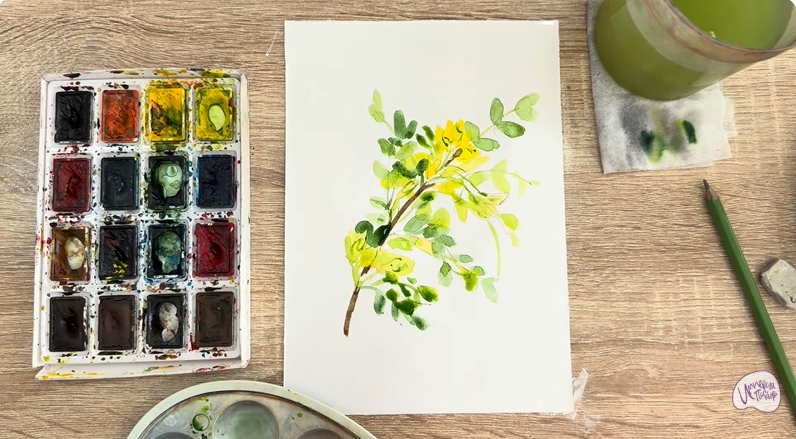 Рисуем Ветка караганы