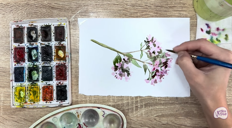 Рисуем Душица