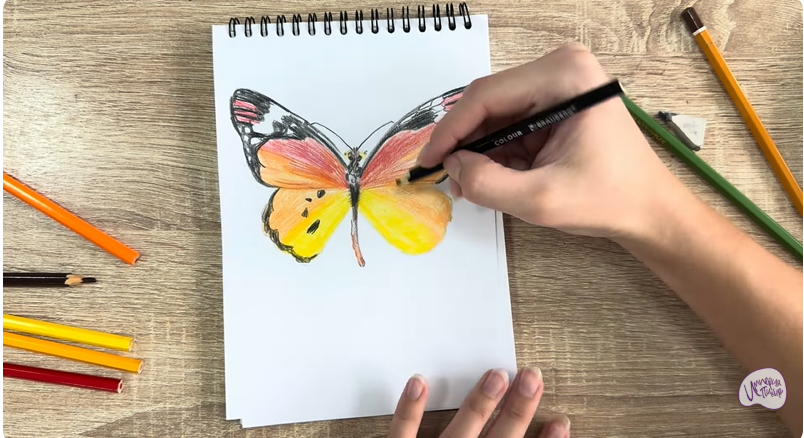 Рисуем Малинница обыкновенная