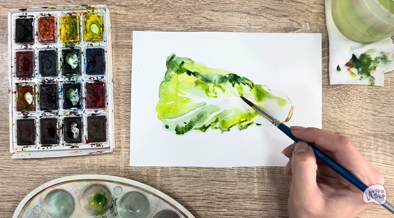 Рисуем Пекинская капуста