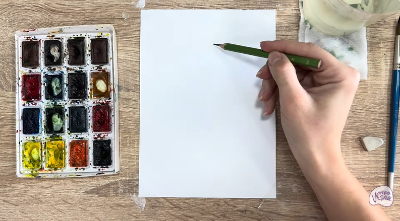 Рисуем Обыкновенная гага