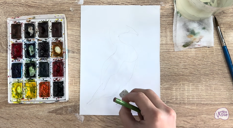 Рисуем Обыкновенная гага