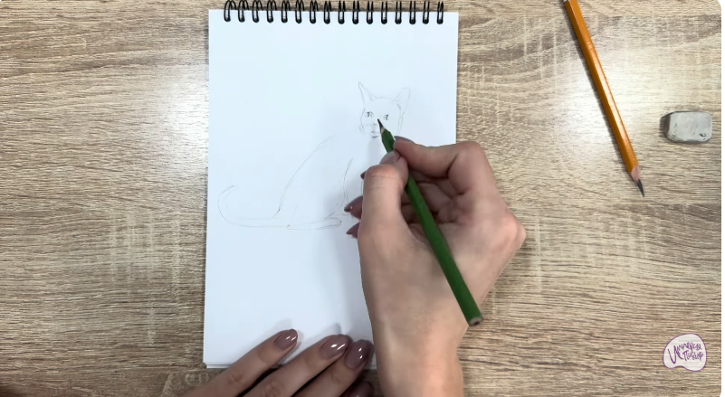 Рисуем Кот породы "Корат"