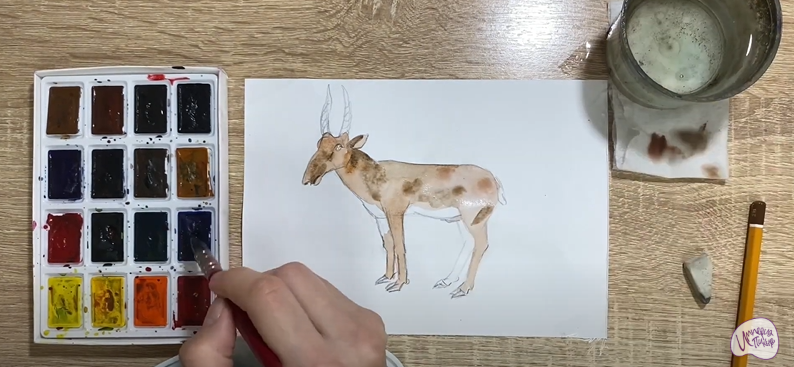 Рисуем Сайгак