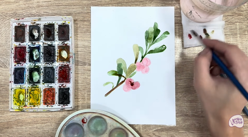 Рисуем Толокнянка