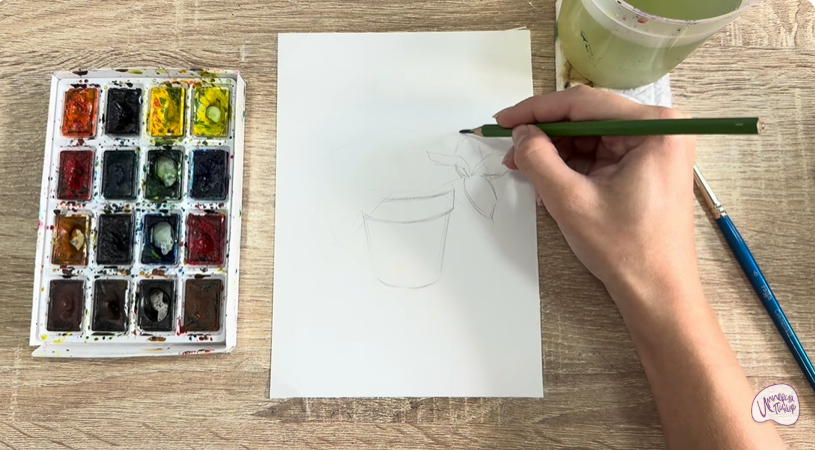 Рисуем Традесканция