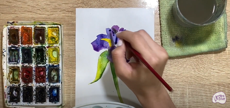 Рисуем Ирис